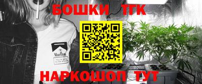 индика Комсомольск-на-Амуре