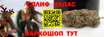 индика Комсомольск-на-Амуре