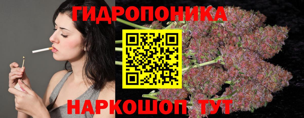 Конопля конопля Когалым